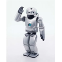 Roy the Robot