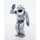 Roy the Robot