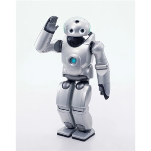 Roy the Robot