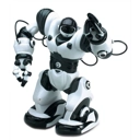 Robot - Ronnie