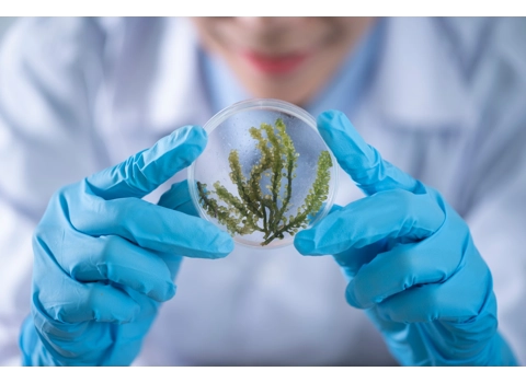 100Pcs for just $19.99 now!