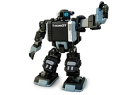 I Robot