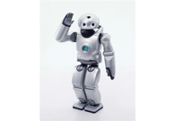 Roy the Robot
