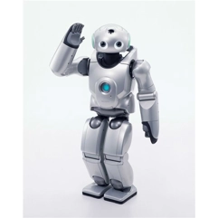 Roy the Robot