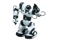 Robot - Ronnie