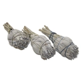 white sage.. pack of 10