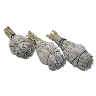 white sage.. pack of 10