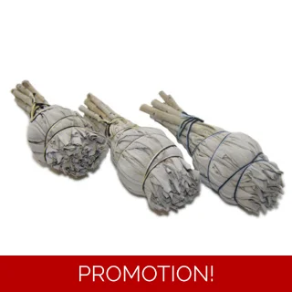 white sage.. pack of 10