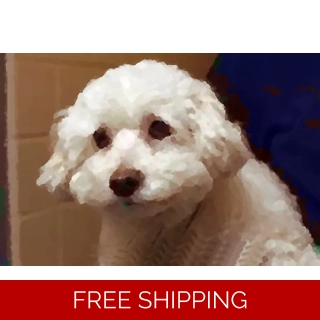 POWERFUL PET PROTECTION..