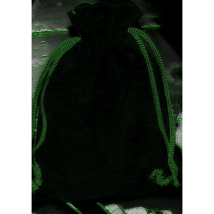 Job and Career Achievement Pouch