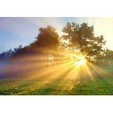 Extremely Powerful Custom Magick 120 d.. Extremely Powerful Custom Magick 120 d..