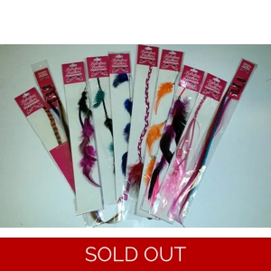 144 Assorted Color Feather Hair Extensions