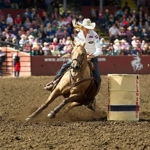 Breyer 1821 Stingray 1:9 Traditional Barrel Horse