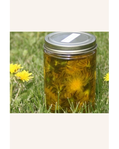Salves 2 ounce Salves 2 ounce