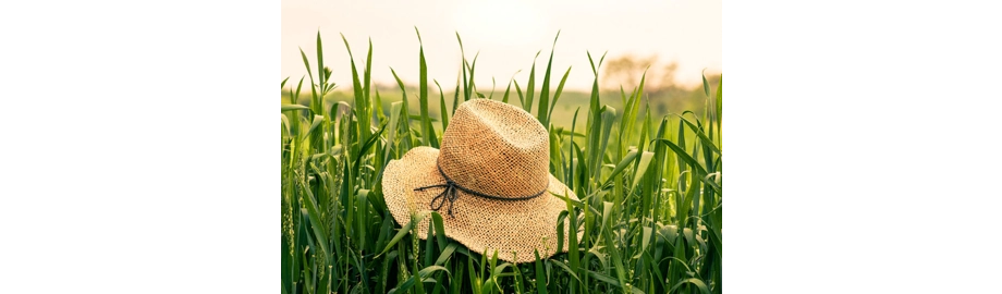 DC Farmhouse Creations Inspired by Simple Living