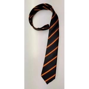 Ysgol Bro Teifi Secondary Tie