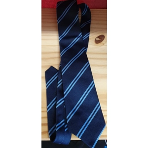 Newcastle Emlyn Secondary Tie