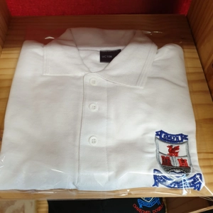 Newcastle Emlyn Secondary White Summer Polo