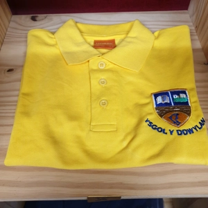 Ysgol Y Ddwylan Polo