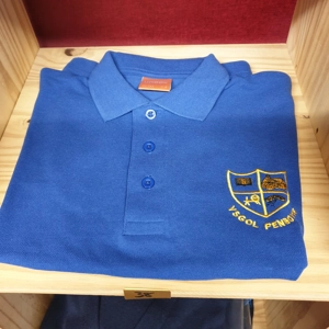 Ysgol Penboyr Polo