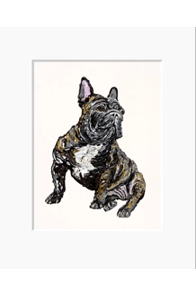 FRENCH BULL DOG