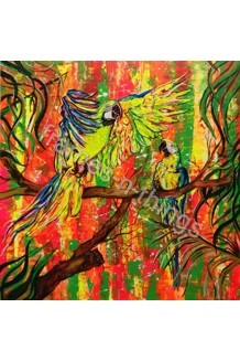 Parrots 2