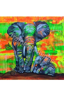 Elephants