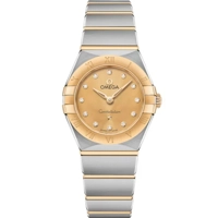 Omega Constellation 131.20.25.60.58.001 Silver..