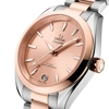 additional image for Omega Seamaster Aqua Terra 150M 220.20.34.20.10.001 Silver Stainless Steel & Gold Watches for Women