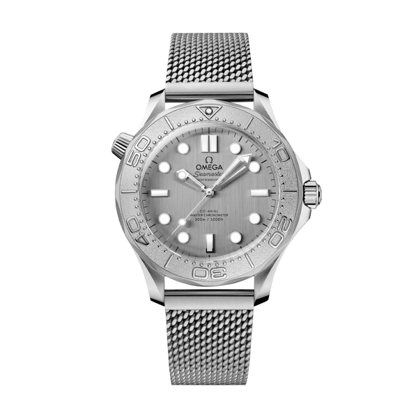 Omega Seamaster Diver 300M 210.30.42.20.06.002 Silver Stainless Steel Watches for Men