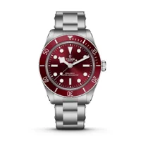 TUDOR BLACK-BAY-58 m7939a1a0ru-0002 Silver Sta..