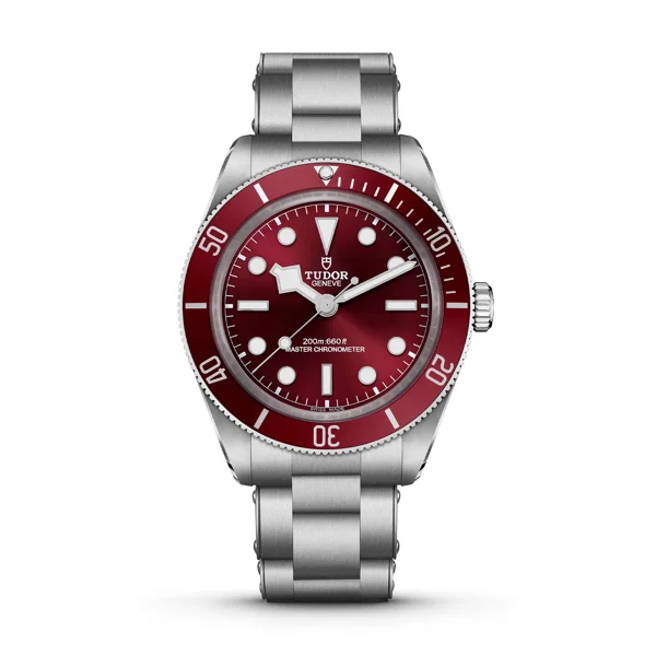TUDOR BLACK-BAY-58 m7939a1a0ru-0002 Silver Stainless Steel Watches For Men