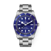 TUDOR BLACK BAY 54 m79000b-0001 Silver Stainle..