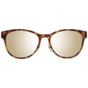 additional image for Benetton Sunglasses BE5012 112 53 Tortoise