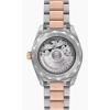 additional image for Omega Seamaster Aqua Terra 150M 220.20.38.20.06.001 Silver Stainless Steel & Gold Watches for Women