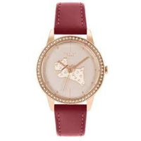 Radley RY21184 Gold Dial Leather Strap Ladies ..
