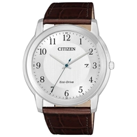Citizen AW1211-12A Eco-Drive Men's 41mm 5ATM