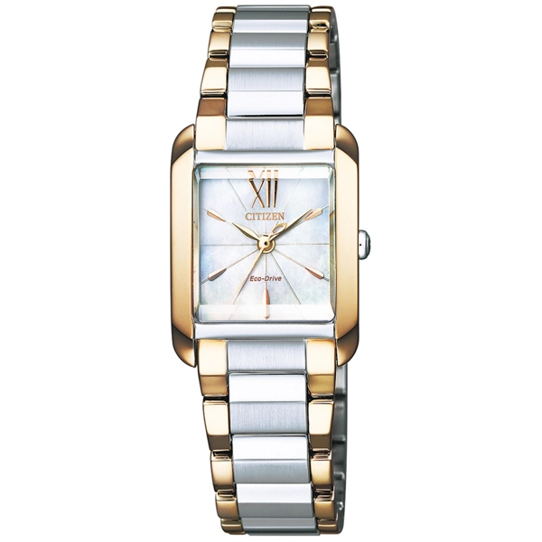 Citizen EW5556-87D Eco-Drive Ladies 21mm 5ATM