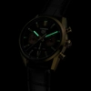 additional image for TAG Heuer Gold Carrera Chronograph CBN2044.FC8313 Black Alligator Leather Watches For Men