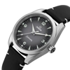 additional image for Omega Seamaster Railmaster 235.12.38.20.06.001 Black Leather Watches for Men