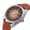 additional image for Omega Seamaster Railmaster 235.12.38.20.13.001 Brown Leather Watches for Men