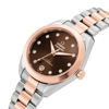 additional image for Omega Seamaster Aqua Terra 150M 220.20.30.20.63.001 Silver Stainless Steel & Gold Watches for Women
