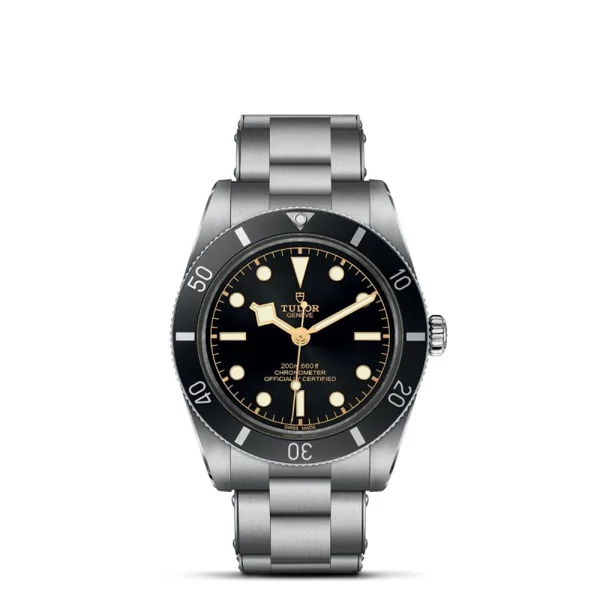 TUDOR BLACK BAY 54 m79000n-0001 Silver Stainless Steel Watches For Men