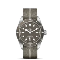 TUDOR BLACK BAY m79010sg-0002 Taupe Fabric Wat..