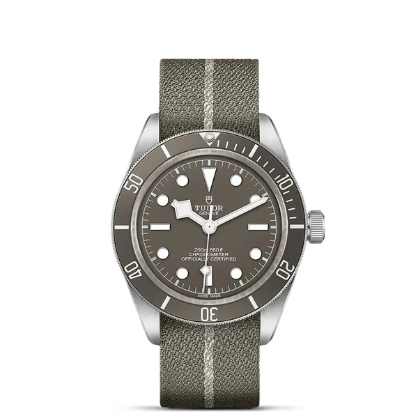 TUDOR BLACK BAY m79010sg-0002 Taupe Fabric Watches For Men