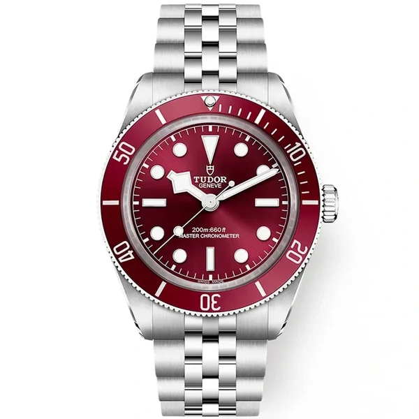 TUDOR BLACK-BAY-58 m7939a1a0ru-0001 Silver Stainless Steel Watches For Men