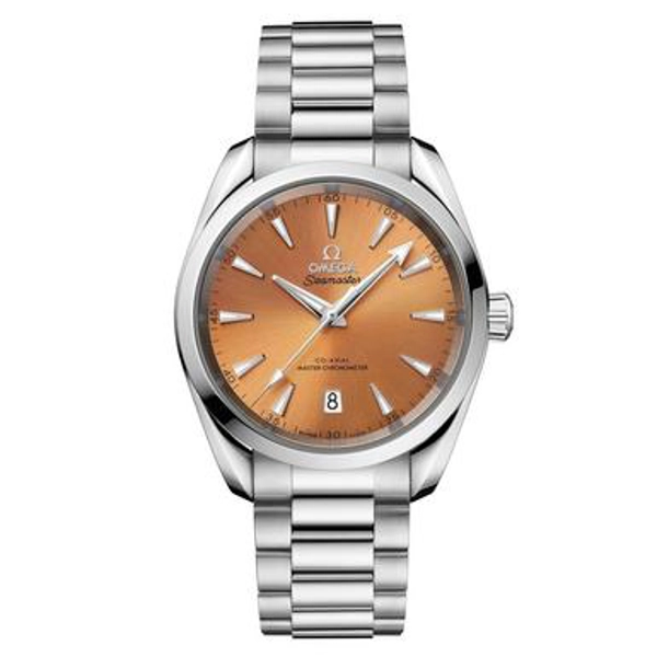 Omega Seamaster Aqua Terra 150M 220.10.38.20.12.001 Silver Stainless Steel Watches for Men