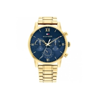Tommy Hilfiger 1791880 Gold Stainless Steel  W..