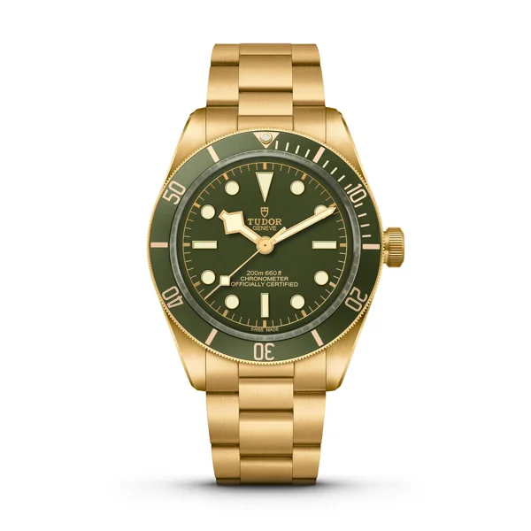 TUDOR BLACK BAY m79018v-0006 Yellow Gold Watches For Men