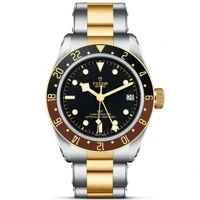 TUDOR BLACK BAY GMT m79833mn-0001 Silver & Gol..